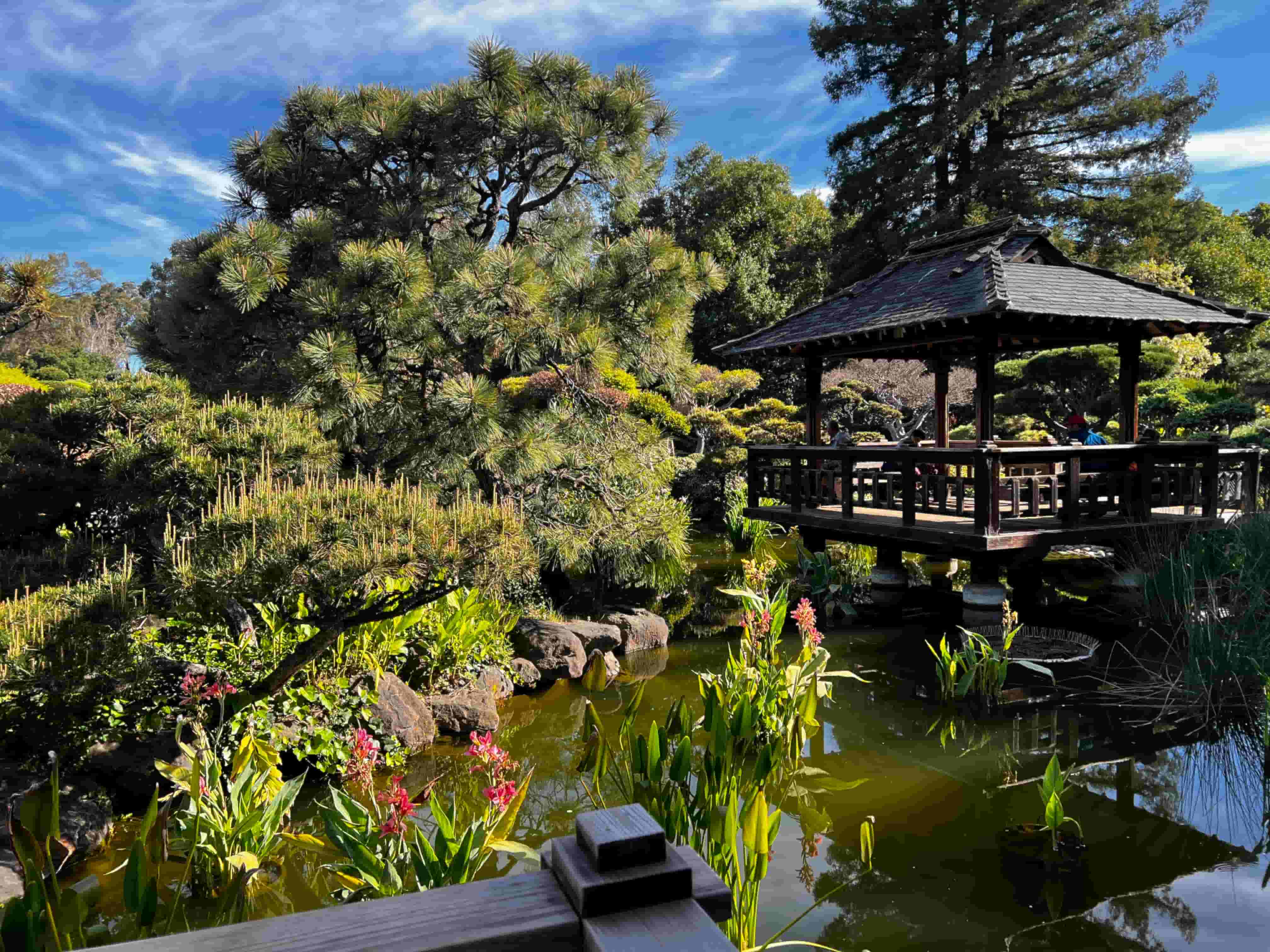 Hayward Japanese Garden