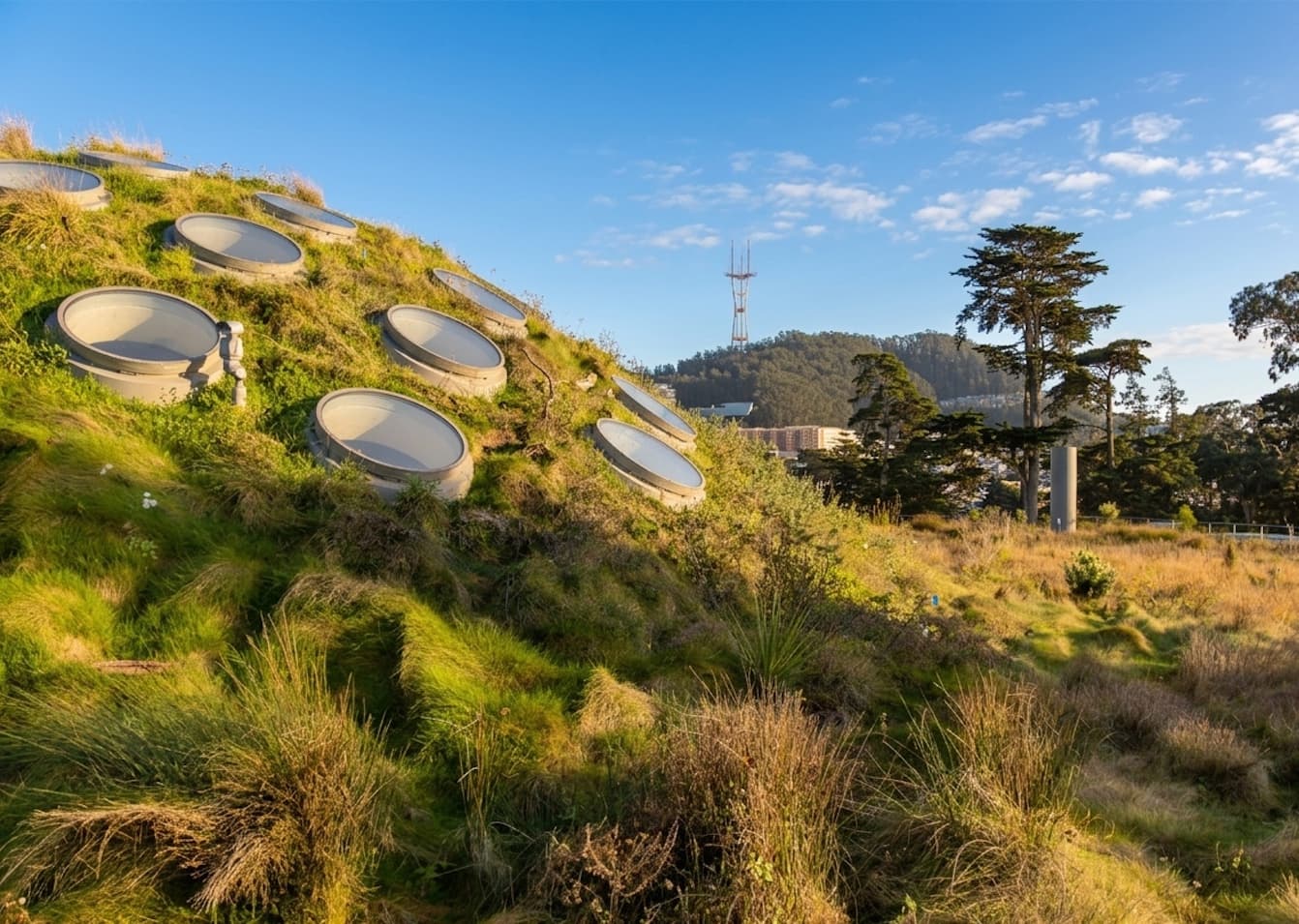 California Academy of Sciences